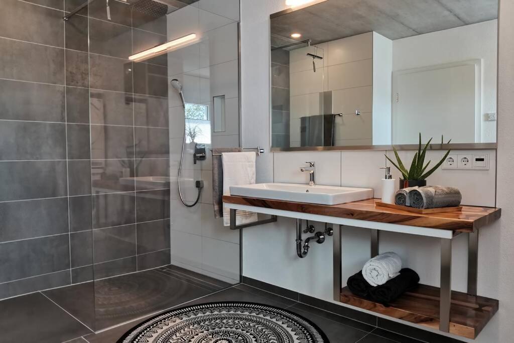 Moderne Ferienwohnung Rhenum Mit Wallbox Вальдсгут-Тінген Екстер'єр фото